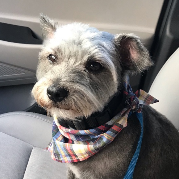 Meet your Posher, Stacy - Picture 4 of 4